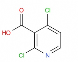 2,4-dichloronicotinic acid