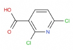 2,6-dichloronicotinic acid