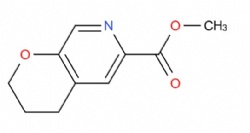 methyl 3,4-dihydro-2H-pyrano[2,3-c]pyridine-6-carboxylate