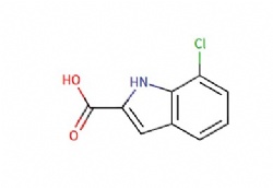 7-chloro-1H-indole-2-carboxylic acid