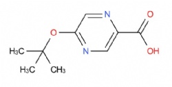 5-(tert-butoxy)pyrazine-2-carboxylic acid