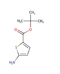 tert-butyl 5-aminothiophene-2-carboxylate