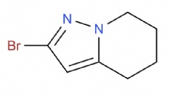 2-bromo-4,5,6,7-tetrahydropyrazolo[1,5-a]pyridine