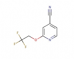 2-(2,2,2-trifluoroethoxy)isonicotinonitrile