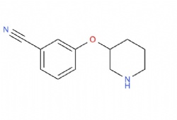 3-(piperidin-3-yloxy)benzonitrile
