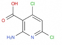 2-amino-4,6-dichloronicotinic acid