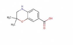 2,2-Dimethyl-3,4-dihydro-2H-benzo[b][1,4]oxazine-7-carboxylic acid