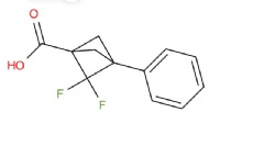 2,2-difluoro-3-phenyl-bicyclo[1.1.1]pentane-1-carboxylic acid