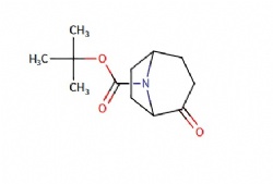 tert-butyl 2-oxo-8-azabicyclo[3.2.1]octane-8-carboxylate