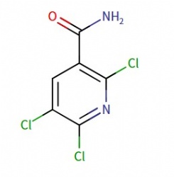 2,5,6-trichloronicotinamide