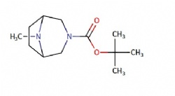 tert-butyl 8-methyl-3,8-diazabicyclo[3.2.1]octane-3-carboxylate