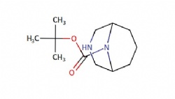 tert-butyl 3,9-diazabicyclo[3.3.1]nonane-9-carboxylate