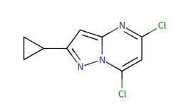 5,7-dichloro-2-cyclopropylpyrazolo[1,5-a]pyrimidine