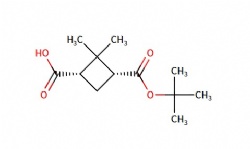 (1S,3R)-3-[(tert-butoxy)carbonyl]-2,2-dimethylcyclobuta