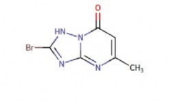 2-bromo-5-methyl-[1,2,4]triazolo[1,5-a]pyrimidin-7(1H)-one