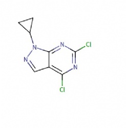 4,6-dichloro-1-cyclopropyl-1H-pyrazolo[3,4-d]pyrimidine