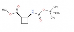 methyl (1R,2S)-2-(tert-butoxycarbonylamino)cyclobutanecarboxylate