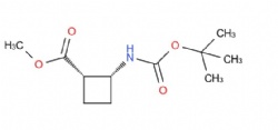 methyl (1S,2R)-2-(tert-butoxycarbonylamino)cyclobutanecarboxylate