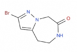 2-bromo-4,5,6,8-tetrahydropyrazolo[1,5-d][1,4]diazepin-7-one