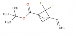 tert-butyl 2,2-difluoro-3-vinylbicyclo[1.1.1]pentane-1-carboxylate