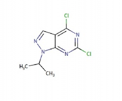 4,6-dichloro-1-isopropyl-1H-pyrazolo[3,4-d]pyrimidine