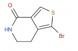 1-bromo-6,7-dihydrothieno[3,4-c]pyridin-4(5H)-one