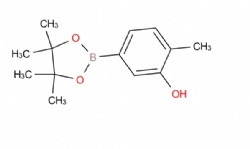 2-methyl-5-(4,4,5,5-tetramethyl-1,3,2-dioxaborolan-2-yl)phenol