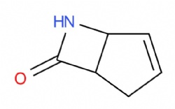 2-Azabicyclo(2.2.1)hept-5-en-3-one