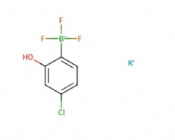 potassium (4-chloro-2-hydroxyphenyl)trifluoroborate
