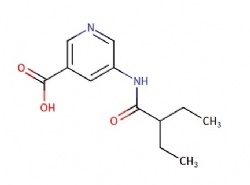 5-(2-ethylbutanamido)nicotinic acid