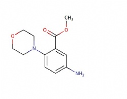 5-Amino-2-morpholin-4-yl-benzoicacidmethylester