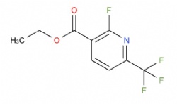 ethyl 2-fluoro-6-(trifluoromethyl)nicotinate