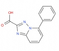 5-phenyl-[1,2,4]triazolo[1,5-a]pyridine-2-carboxylic acid