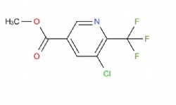 methyl 5-chloro-6-(trifluoromethyl)nicotinate