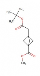 methyl 3-(2-tert-butoxy-2-oxo-ethyl)bicyclo[1.1.1]pentane-1-carboxylate