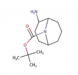 tert-butyl 2-amino-9-azabicyclo[3.3.1]nonane-9-carboxylate