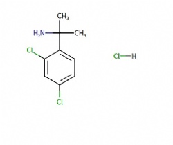 2-(2,4-dichlorophenyl)propan-2-amine hydrochloride