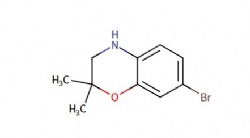 7-Bromo-2,2-dimethyl-3,4-dihydro-2H-benzo[b][1,4]oxazine