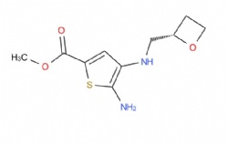 methyl(S)-5-amino-4-((oxetan-2-ylmethyl)amino)thiophene-2-carboxylate