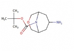 tert-butyl endo-7-amino-3-oxa-9-azabicyclo[3.3.1]nonane-9-carboxylate