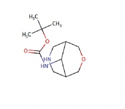 tert-butyl N-(3-oxa-7-azabicyclo[3.3.1]nonan-9-yl)carbamate