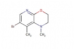 7-bromo-1,8-dimethyl-2,3-dihydro-1H-pyrido[2,3-b][1,4]oxazine