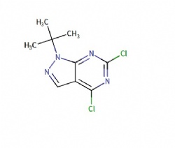 1-(tert-butyl)-4,6-dichloro-1H-pyrazolo[3,4-d]pyrimidine