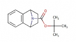 tert-butyl 1,2,3,4-tetrahydro-1,4-epiminonaphthalene-9-carboxylate