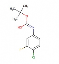 tert-butyl (4-chloro-3-fluorophenyl)carbamate