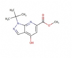 methyl 1-(tert-butyl)-4-hydroxy-1H-pyrazolo[3,4-b]pyridine-6-carboxylate