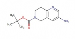 tert-butyl 3-amino-7,8-dihydro-1,6-naphthyridine-6(5H)-carboxylate