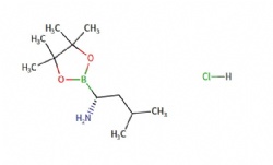 (R)-3-methyl-1-(4,4,5,5-tetramethyl-1,3,2-dioxaborolan-2-yl)butan-1-amine hydrochloride