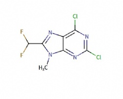 2,6-dichloro-8-(difluoromethyl)-9-methyl-9H-purine