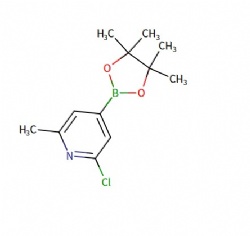 2-chloro-6-methyl-4-(4,4,5,5-tetramethyl-1,3,2-dioxaborolan-2-yl)pyridine